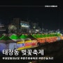 원주 태장동 흥양천 벚꽃축제 야시장 먹거리, 즐길거리