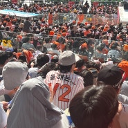 요즘은 그냥 야구장만 가는 사람⚾️ | 잠실경기장, 문학경기장, 고척스카이돔 자리 추천