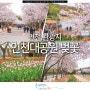 인천 관광지 핫플 인천대공원 벚꽃 명소 인천 드라이브 코스