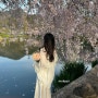 흐드러지는 벚꽃 속에서~ 드디어 기다리던 벚꽃시즌! 나의 벚꽃 나들이를 사진과 함께 공유해 주세요!