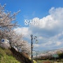 우리동네(장지천) 벚꽃 맛보기 (2024. 04. 05)