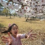 [초2] 카이스트 벚꽃놀이