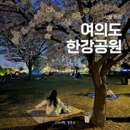 서울 여의나루역 여의도 한강공원 2024년 벚꽃축제 먹거리 피크닉 텐트 치킨 자전거 대여