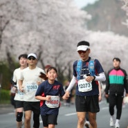 경주벚꽃마라톤 / 우리 아가들 두번째 10k 도전
