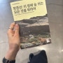 MMCA 국립현대미술관 서울 | 정영선: 이 땅에 숨 쉬는 모든 것을 위하여 | 4월~9월 서울 전시 추천