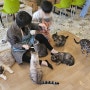 부산 남포동 아이들과 가볼 만한 곳 고양이 카페 - 양이양이