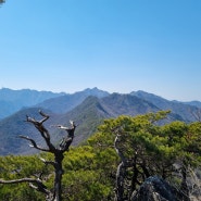 계룡산 장군봉 신선봉 산행