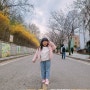 한국 여행 18일차 - 기다림의 연속, 꽃이 피기 시작