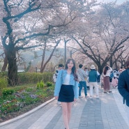 벚꽃명소 서울대공원 동물원 데이트