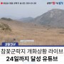 비슬산 참꽃군락지 개화상황 라이브 :: 24일까지 달성군 유튜브