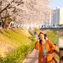 김포 벚꽃명소 계양천 요즘 지금 가볼만한곳, 봄축제 주차 먹거리 정보