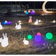은계 호수공원 LED 토끼정원 산책
