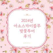 2024년 아소스카이블루와 함께 하는 구마모토성, 스이젠지 조주엔 공원 일본 벚꽃투어