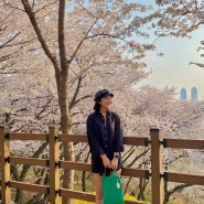 부천 벚꽃명소 추천 : 도당산 벚꽃동산 도당근린공원야외무대 (24.04.07 방문✨)