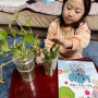 8살 과학전집 꼬마과학뒤집기로 알아보는 식물의 구조와 기능