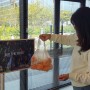 제주특산품 한라봉 농장 제주더유스 매장 오픈 이제 진짜 한라봉 맛집