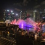 싱가포르 마리나베이샌즈 쇼핑몰 건물내부 분수쇼 후기