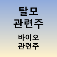 탈모 관련주 - 앤디포스 현대약품 오리엔트바이오 주가(탈모치료제 k바이오 관련 주식)