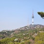 서울 남산공원(순환로)의 화려한 봄