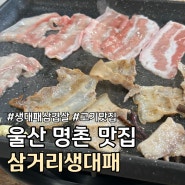 울산 명촌 생대패오겹살 맛집 추천 :: 삼거리생대패 ::