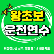 서울 초보운전연수 & 도로 연수 후기 (10시간 단기 연수 과정)