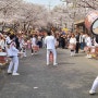 아이와 함께 김포 계양천 벚꽃축제 다녀왔어요
