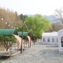 서울근교 계곡이 흐르는 캠핑장, 시즌온 파주 캠핑장 당일캠핑