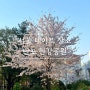 [서울 데이트 장소] 반포 한강공원 데이트 장소 추천 무지개 분수