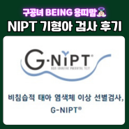 [임신12주차] 니프티 NIPT 다운증후군 기형아 산전 검사 니프트의 모든것 (비용, 시기, 방법, 정확도, 결과, 후기)
