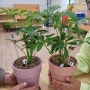 김해 경운초등학교 병설유치원 환경체험수업 식목일 식물심기 단체수업