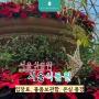 서울식물원 입장료 물품보관함 온실 풍경 살펴보기