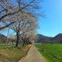 <하동> 지리산 가볼만한곳 칠성봉 계곡 하동호 벚꽃명소-하동저수지