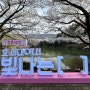 [아산] 호서대학교 - 세출소류지 / 세출저수지 / 벚꽃놀이 / 아산여행 / 봄의향연