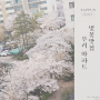 벚꽃 나들이 우리 아파트 벚꽃맛집 그리고 미사한강공원 /서이추