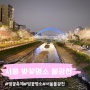 서울 벚꽃 명소 불광천 밤산책하고왔어요 주차장 찾지말고 대중교통 이용 추천