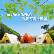[원주 포레스트 돔] 서울 근교 치악산 자락 숲으로 둘러싸인 펜션 캠핑장 추천 이용후기