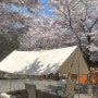 [캠핑] 밀양 미르 캠핑장, 벚꽃 캠핑🌸, 들꽃 4 사이트, 오프위크 면 타프