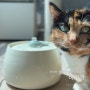 고양이 급수기, 세라믹으로 청결한 가티가티 정수기