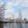 2024년 4월 4일 국내여행 서울 데이트장소 추천하는 석촌호수 벚꽃구경 나들이
