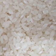 유기농 담음 신동진 쌀 쌀 종류 쌀 보관 방법