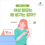 [톡톡!스칼프] 여성 탈모는 왜 생기는 걸까? /탈모 원인/여성호르몬탈모/완경탈모