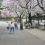 전주동물원 아이와 가볼만한곳 벚꽃만개 드림랜드 포차거리
