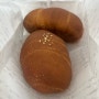 [4월5일] 큰숲빵집 소금빵 청양마요소시지페스츄리 | 스틸리 한대앞 근처 디저트 카페
