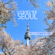 남산 둘레길 벚꽃 코스 실시간 ㅣ 서울여행 벚꽃 명소 포토존