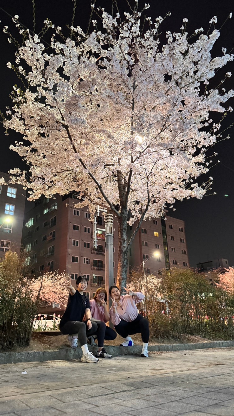 [화곡 강서 크로스핏 팬덤] 벚꽃과 함께 사쿠라 런 🌸 - 52 : 네이버 블로그