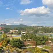 서울 용산) 전시회 문화생활 이촌동 가볼만한 곳 ‘국립중앙박물관’