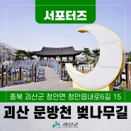 [SNS서포터즈] 괴산여행 청안문방천 벚나무길 벚꽃 만개