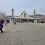 인천대공원에 봄이 왔어요