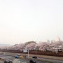 서울 벚꽃명소 구일역 안양천 산책로