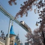 서울 키자니아에서 다양한 직업체험 & 석촌호수 벚꽃구경 🌸